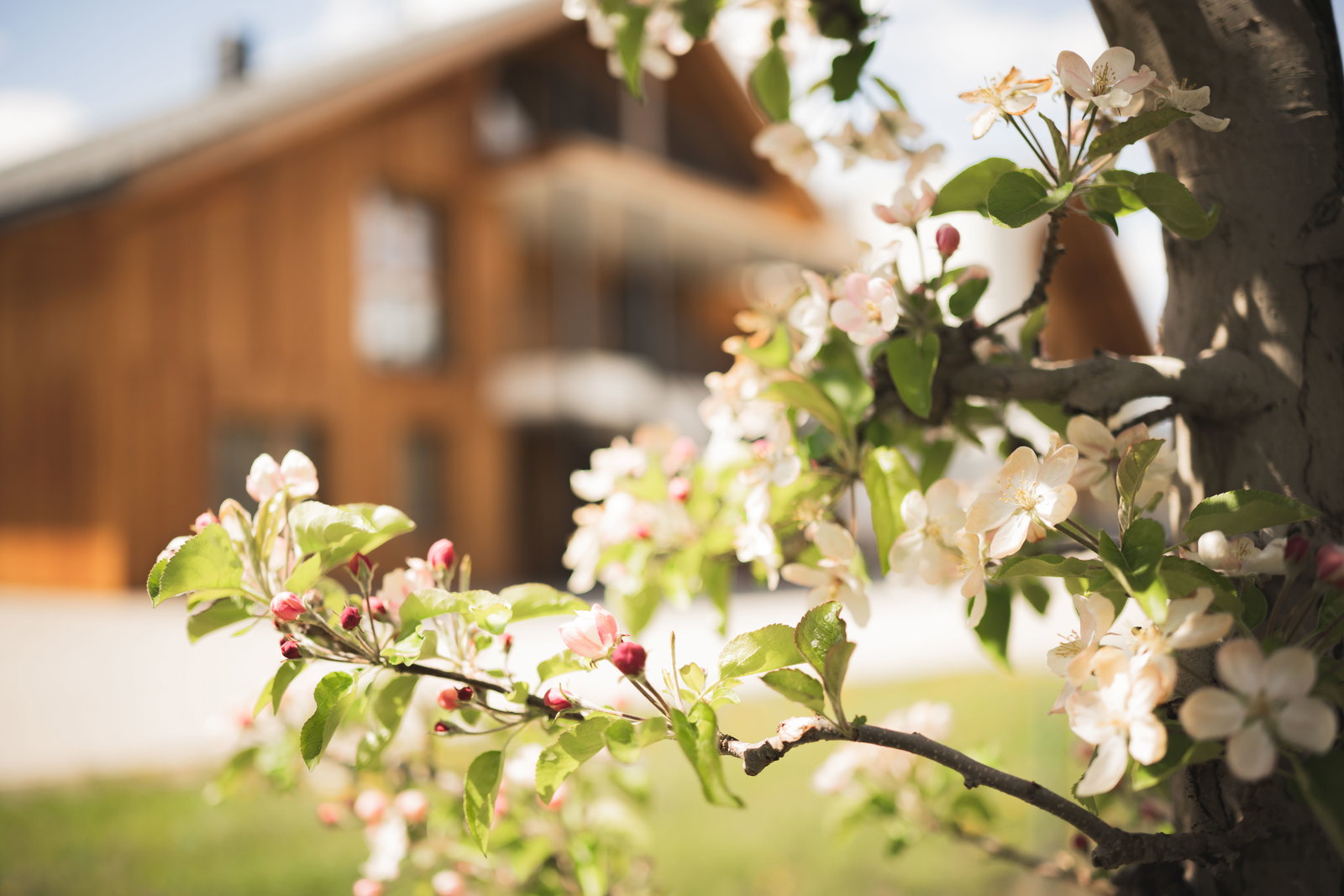 Kessler’s Mountain Lodge