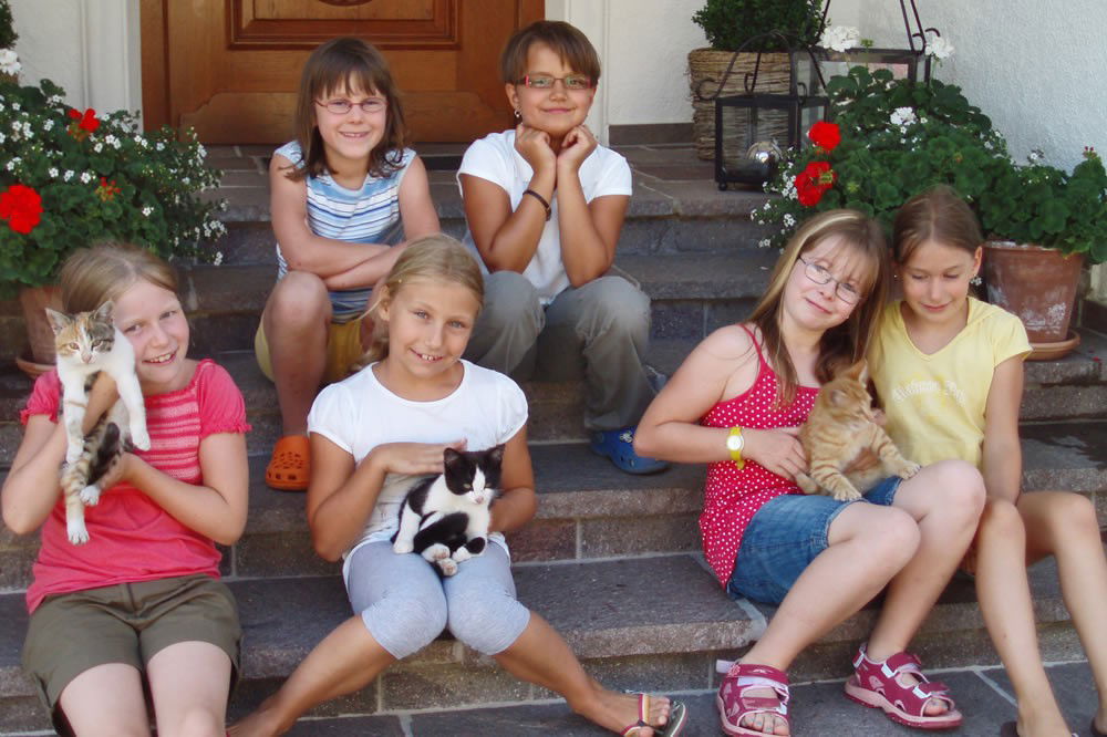 Untersüßgut & Almidylle