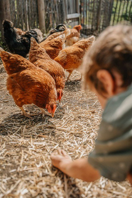 Untersüßgut & Almidylle