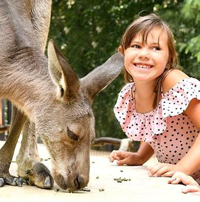 Urlaub im Zoo – Tierpark Görlitz