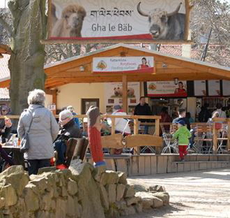 Urlaub im Zoo – Tierpark Görlitz