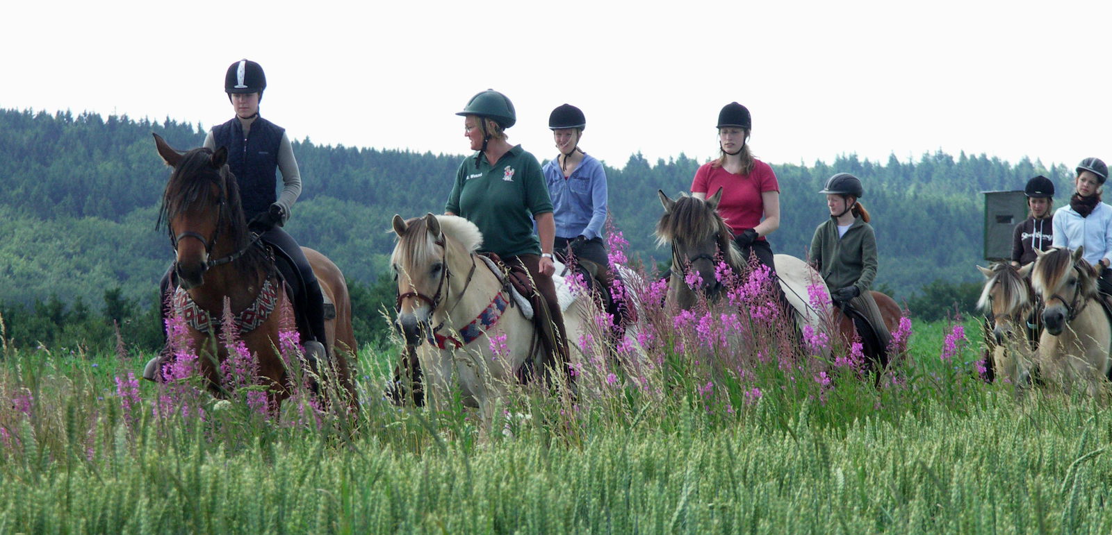 Hof Altasilva - Rosenhof