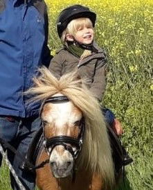 Wohlfühlwohnung im Grünen auf Pferdehof