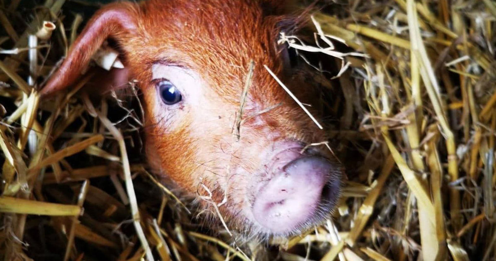 Heeser Hof – Urlaub im Grünen