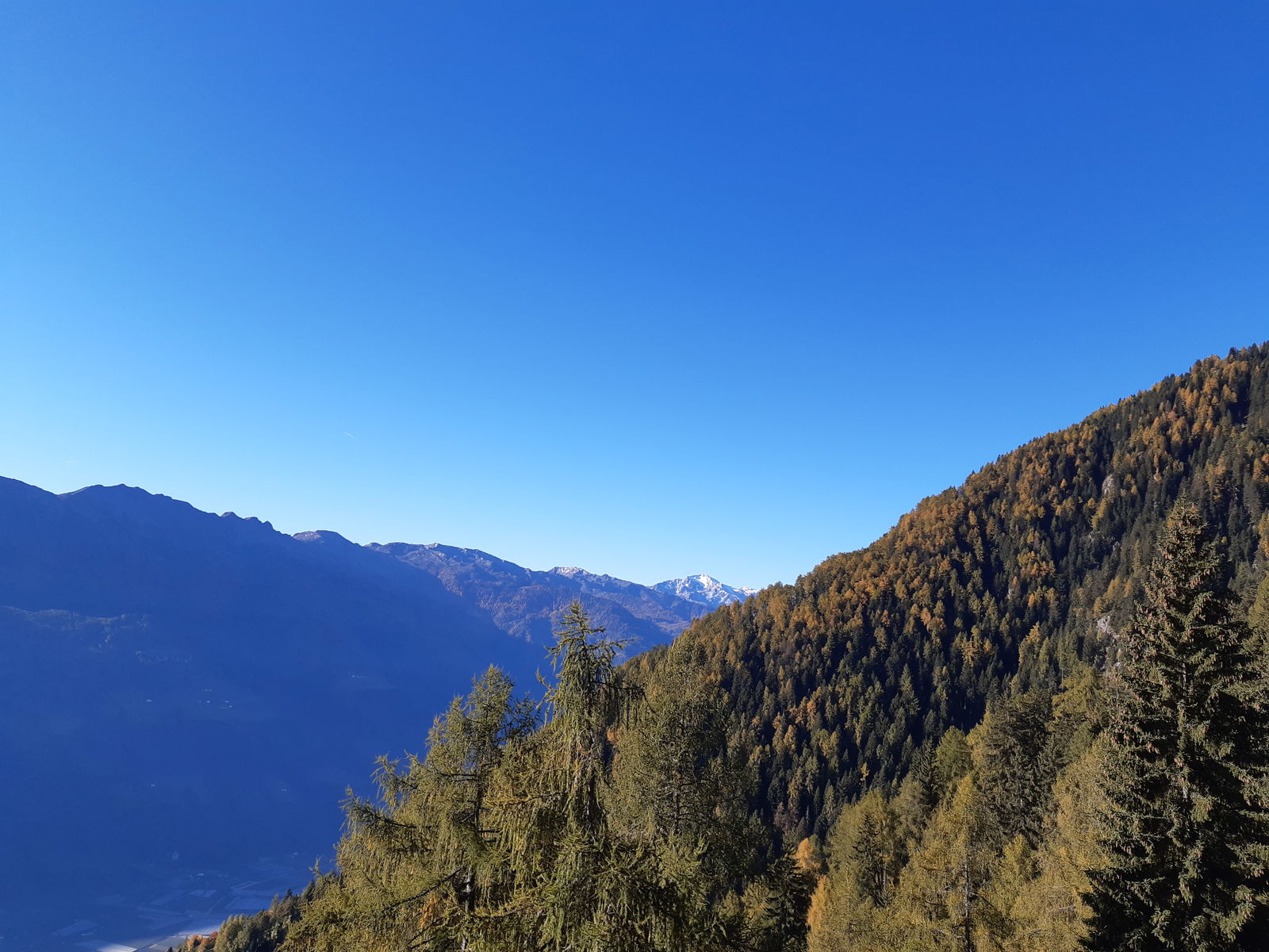 Apartments Das Hubertus