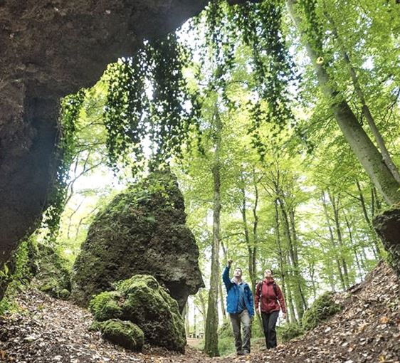 Ferienwohnung Eifelglück