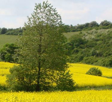 Ferienbauernhof Neumühle