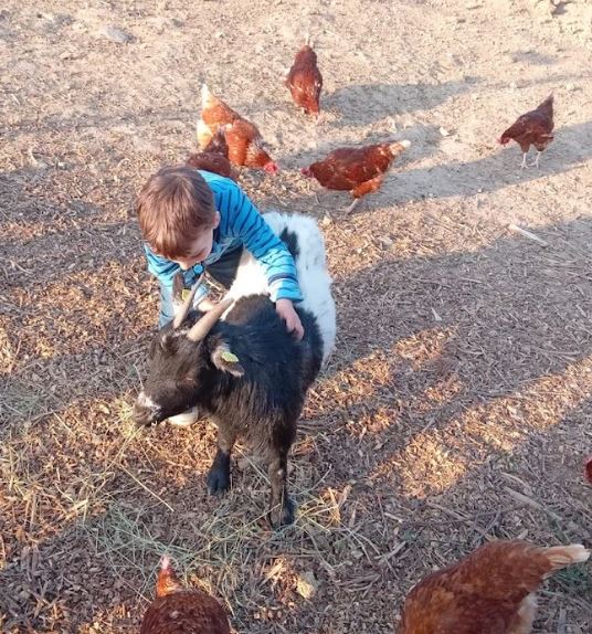 Ferienbauernhof Neumühle