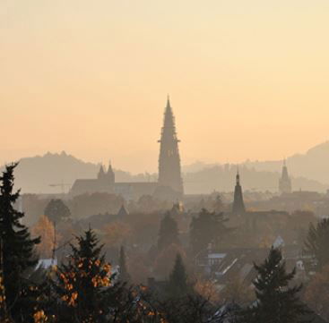 Ferienwohnung Fidelis-Bühl – Urlaub im Hochschwarzwald