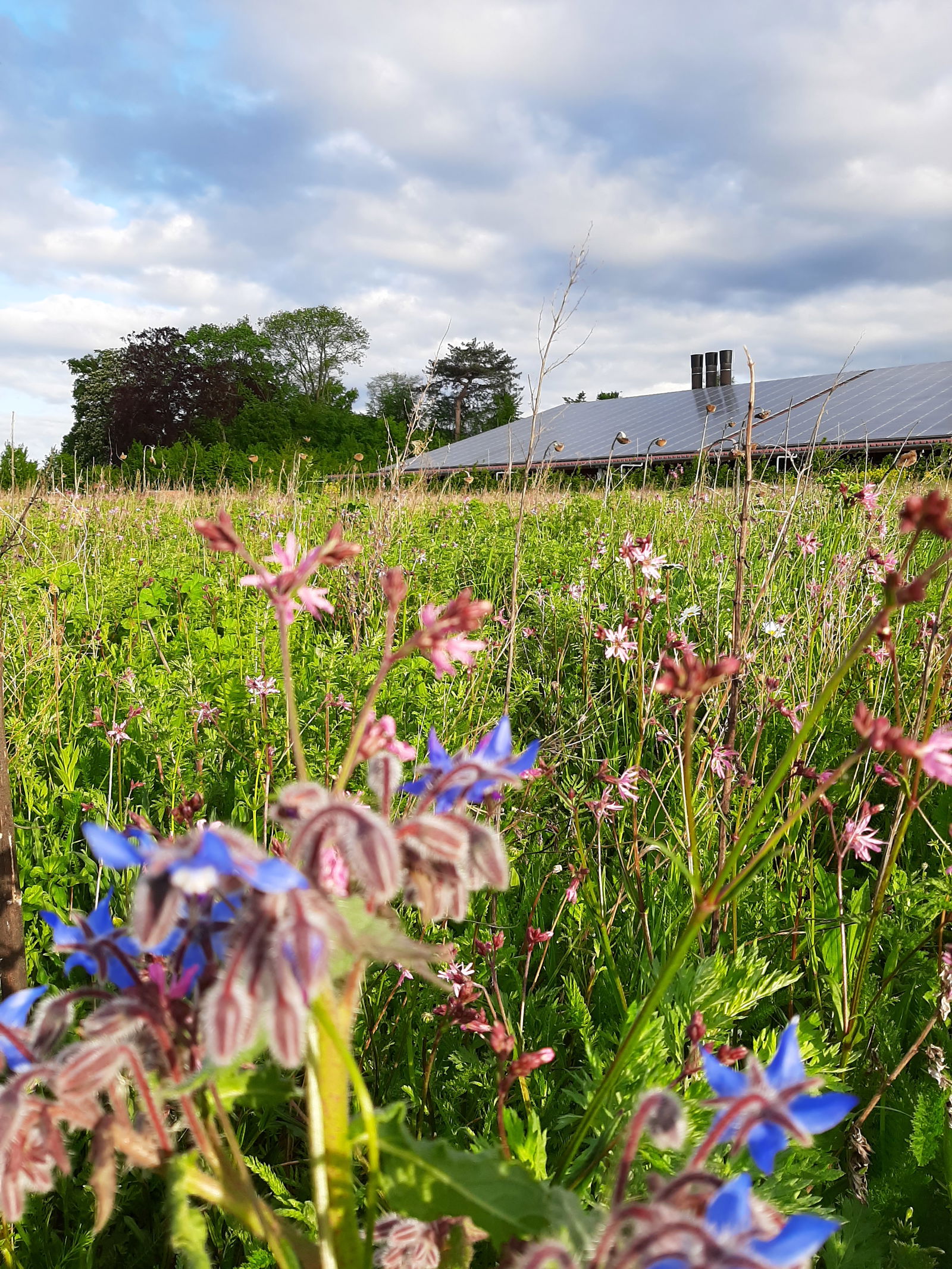 Hof Albersmeier Urlaub am Stall
