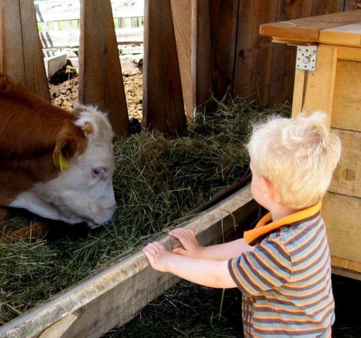 Weberhof - Biobauernhof