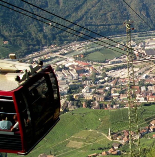 Weberhof - Biobauernhof