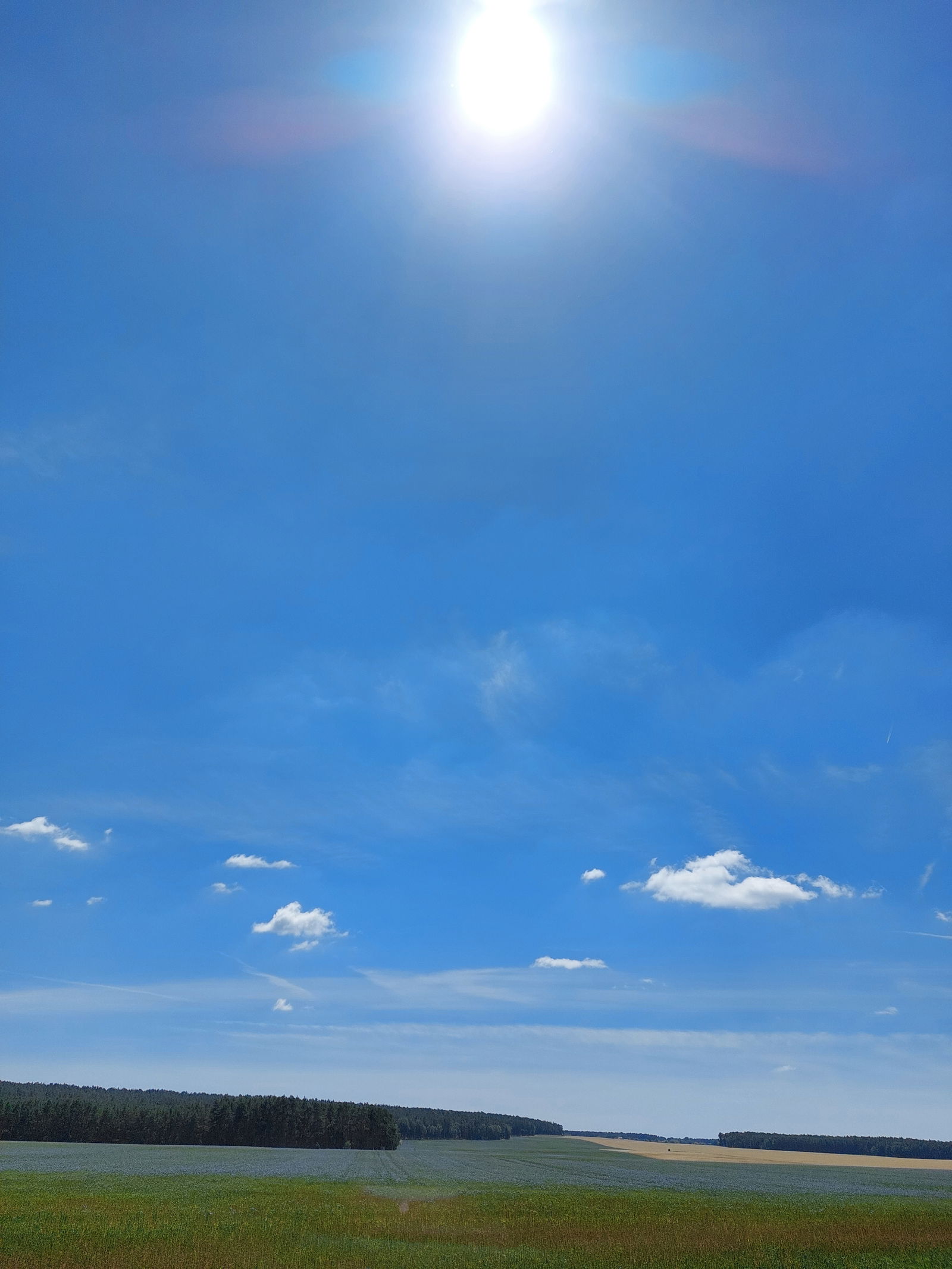 Ferienhaus Alte Schmiede