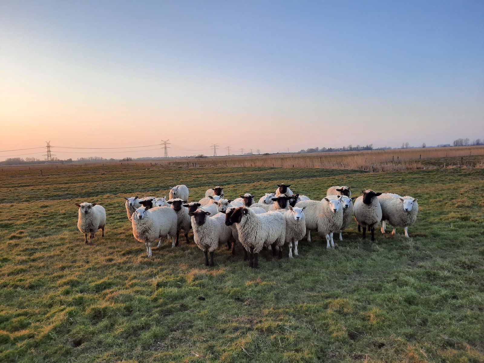 Ferienhof Blocksberg