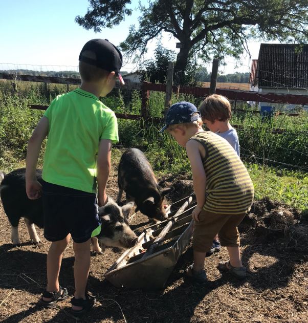 Nordgården- Ferien auf dem Land