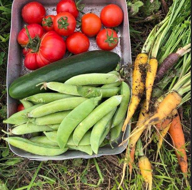 Nordgården- Ferien auf dem Land
