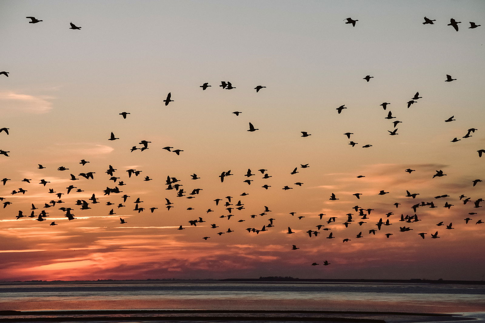 norderdiekhuus -  renoviertes Reetdachhaus in Strandnähe
