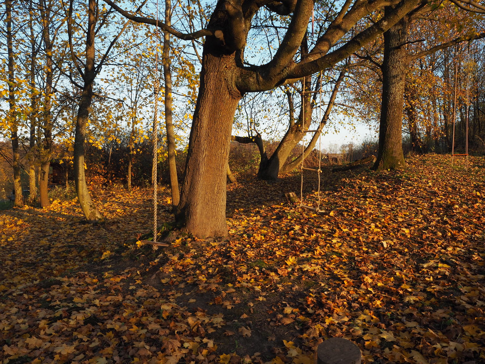 West Masuren: Ferienhaus direkt am See mit Steg, Boot, Sauna & Kamin