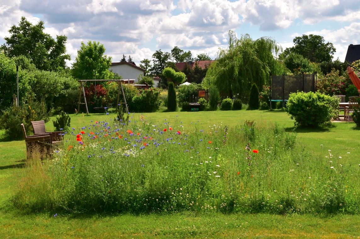 Ferienhof Höffler/im Sternenpark Westhavelland