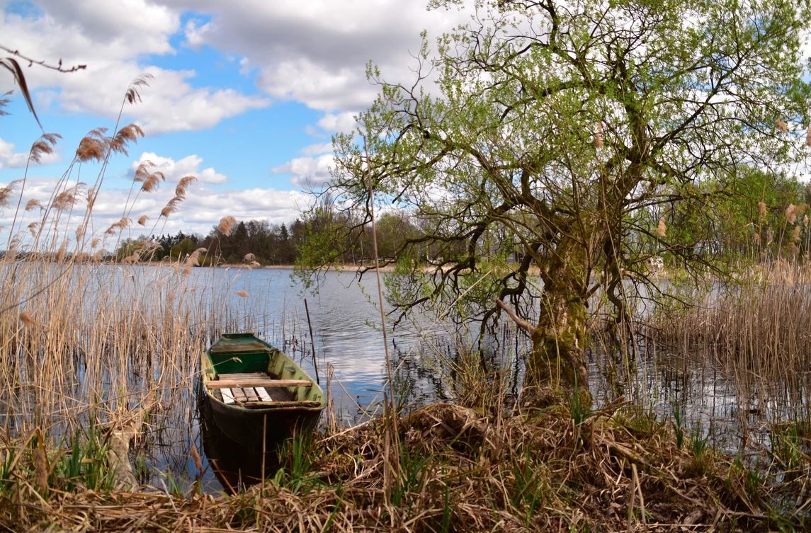 Ferienhof Höffler/im Sternenpark Westhavelland