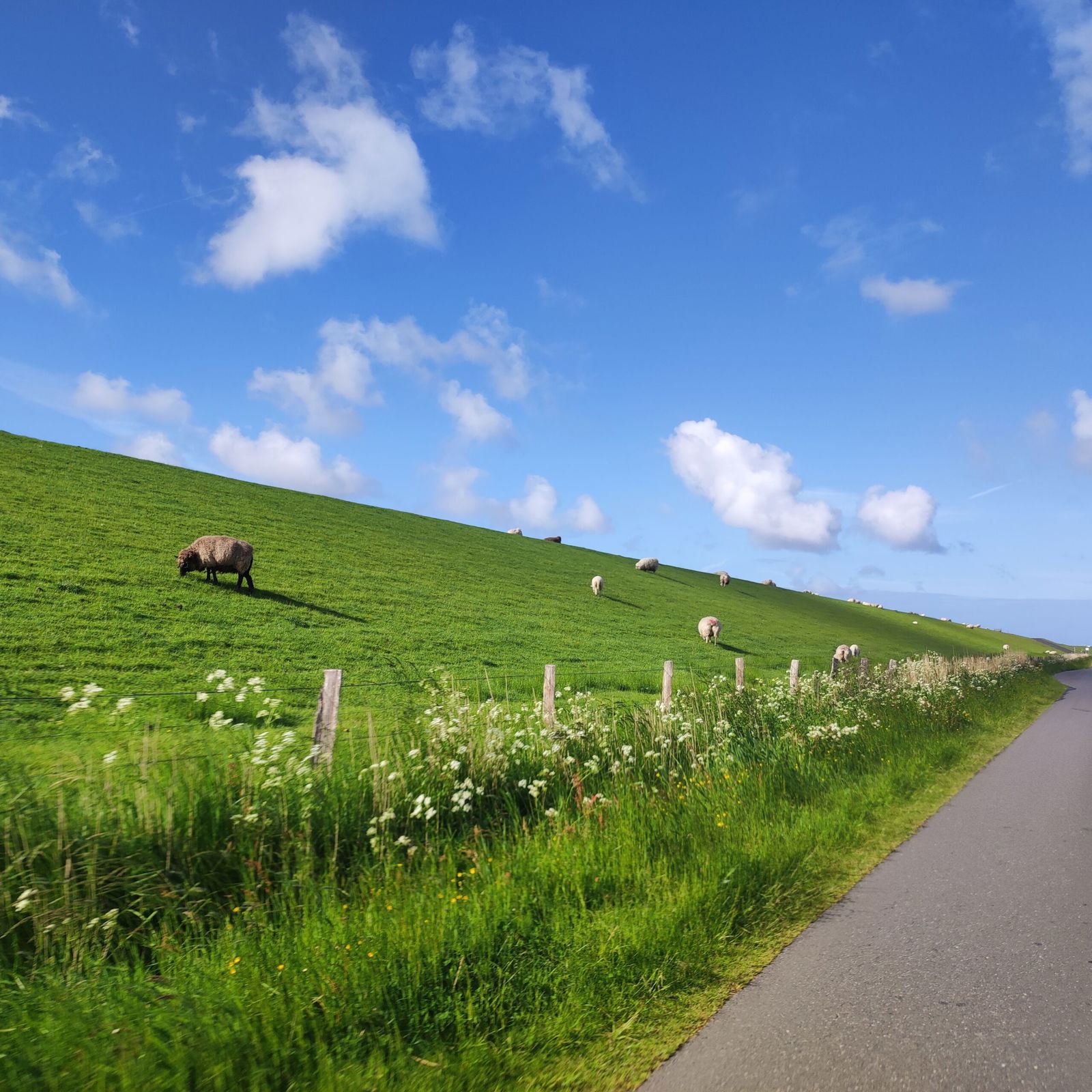 Lieblingsnest  – Ferienwohnungen am Katinger Watt