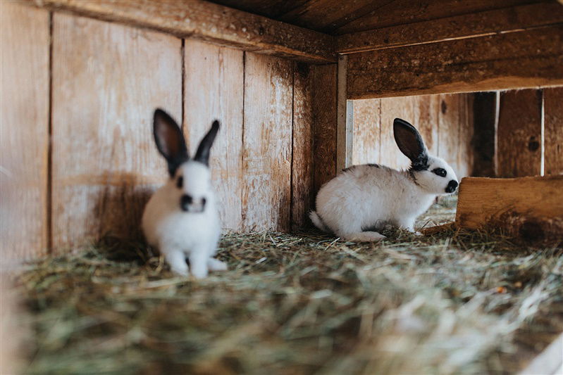 Residence Obermoarhof