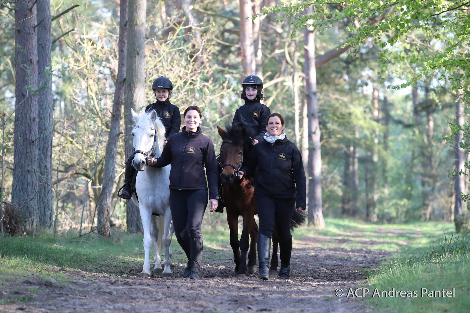 Bernsteinland Wendorf