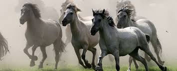 Ferienwohnung Weitblick