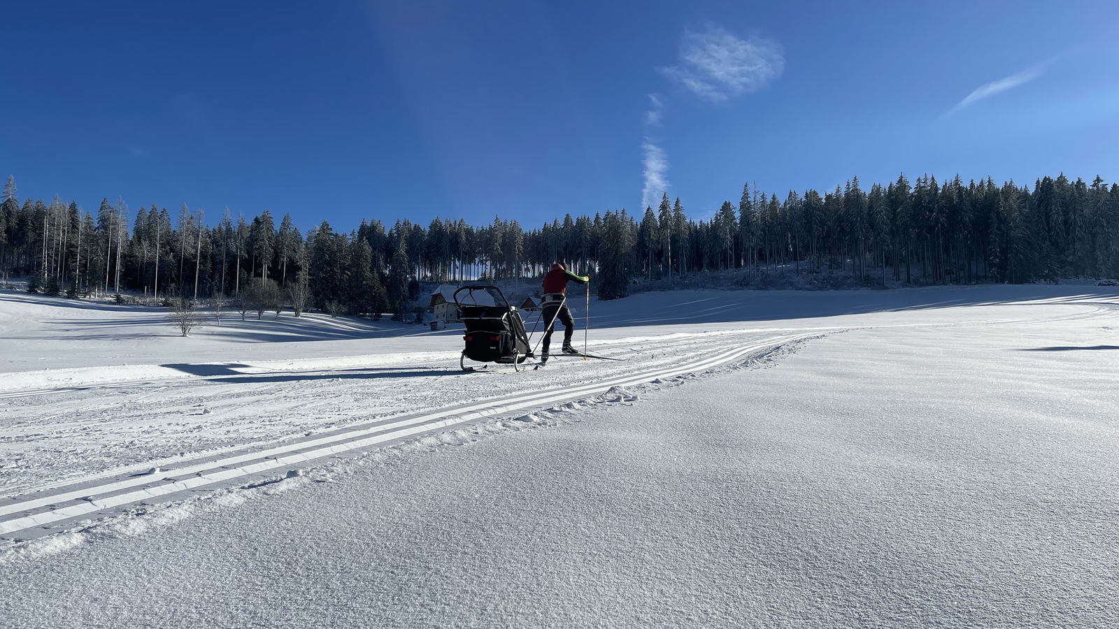 Ferienwohnung Rüttwaldhof