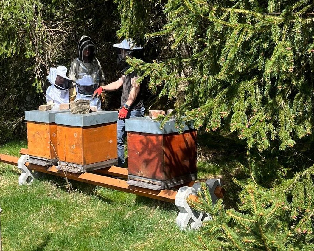 Ferienwohnung Rüttwaldhof