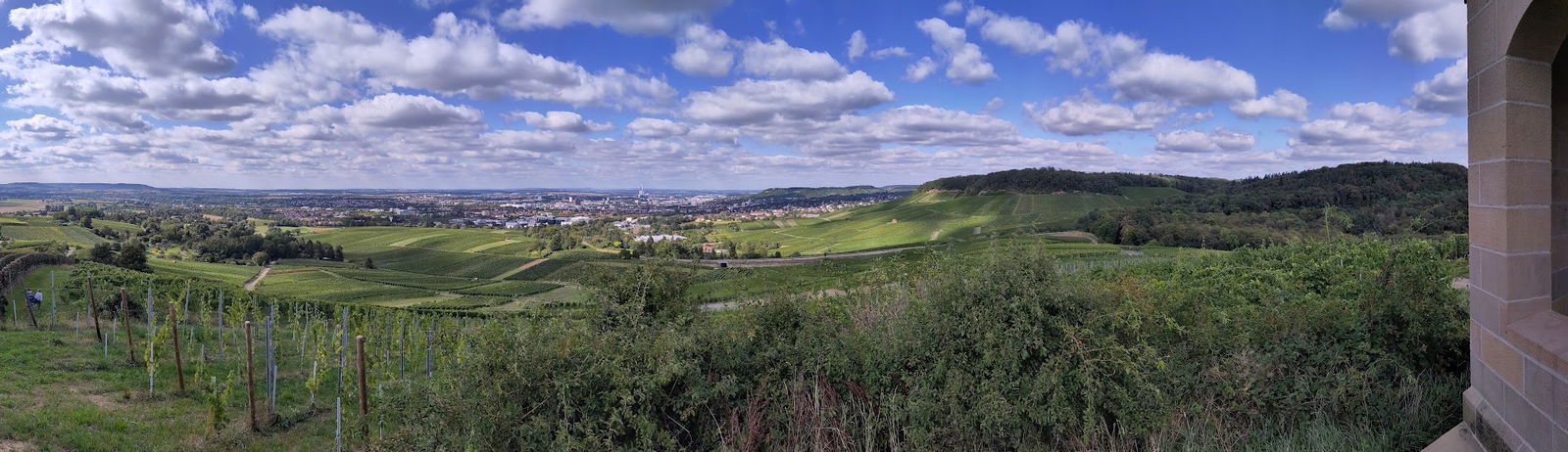 Urige Hütte zwischen Wald und Reben