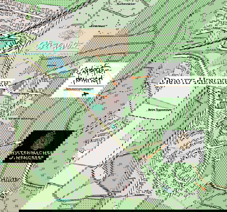 Urige Hütte zwischen Wald und Reben