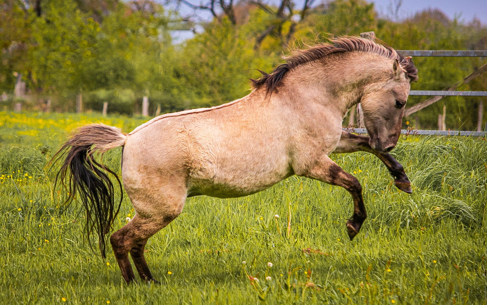 Mitteltalhof "Lebensraum mit Vision"