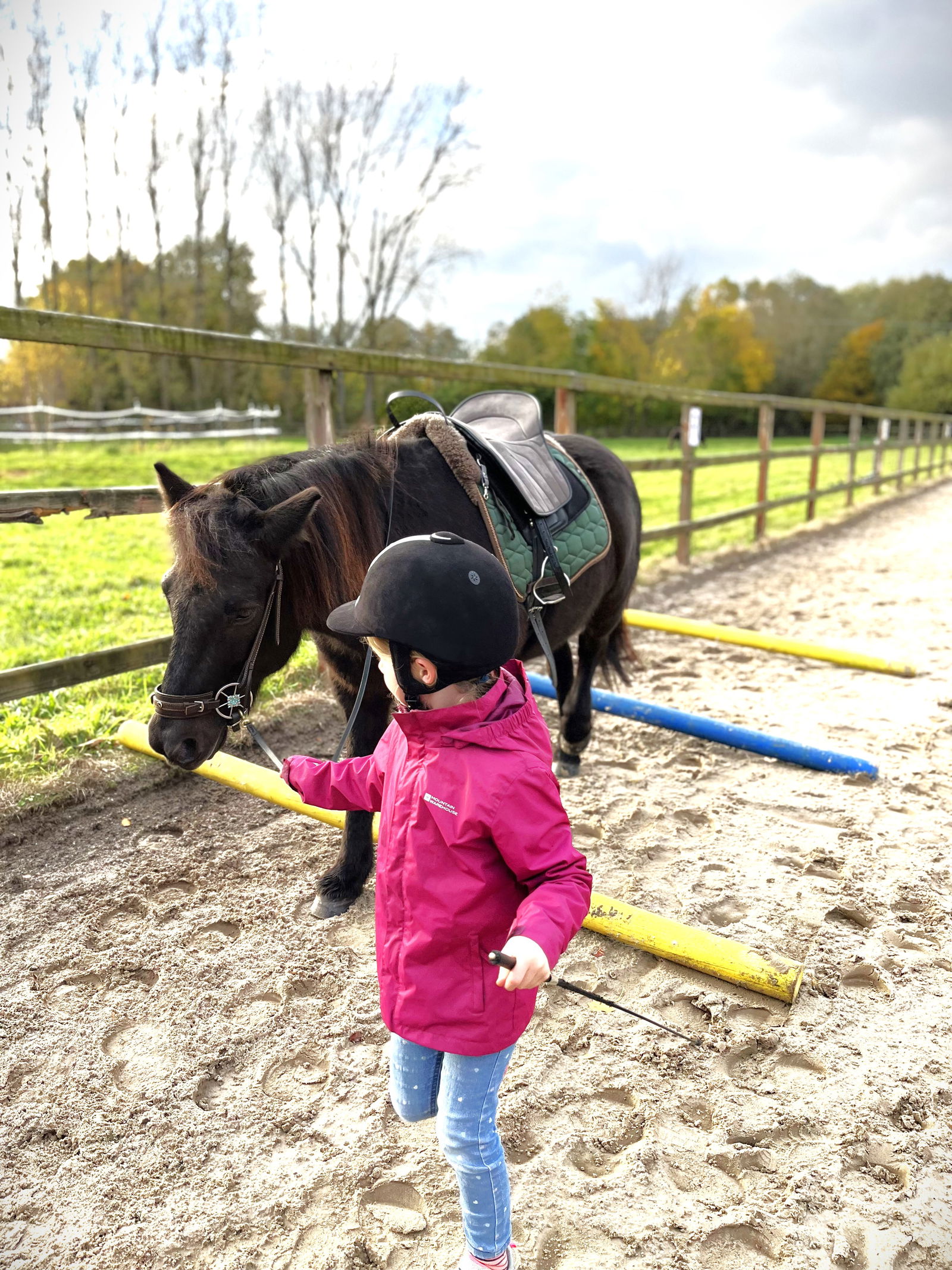 Ferienhaus / Chalet auf dem Gestüt Lohhof mit Kinderreiten oder Pony Reiten
