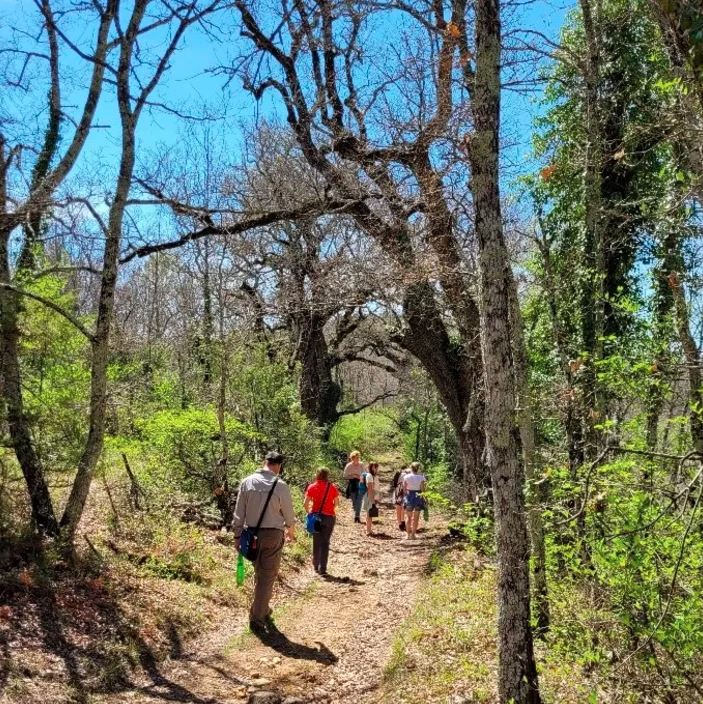 Une Campagne en Provence