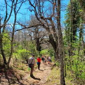 Une Campagne en Provence