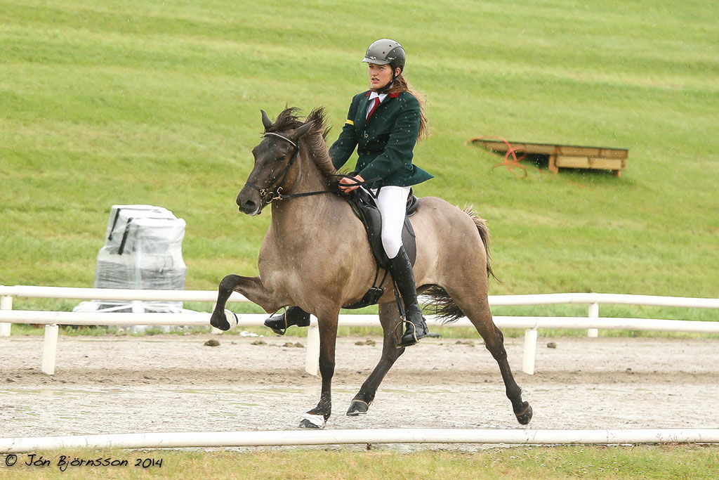 Herríðarhóll – Urlaub und Reiten in Island