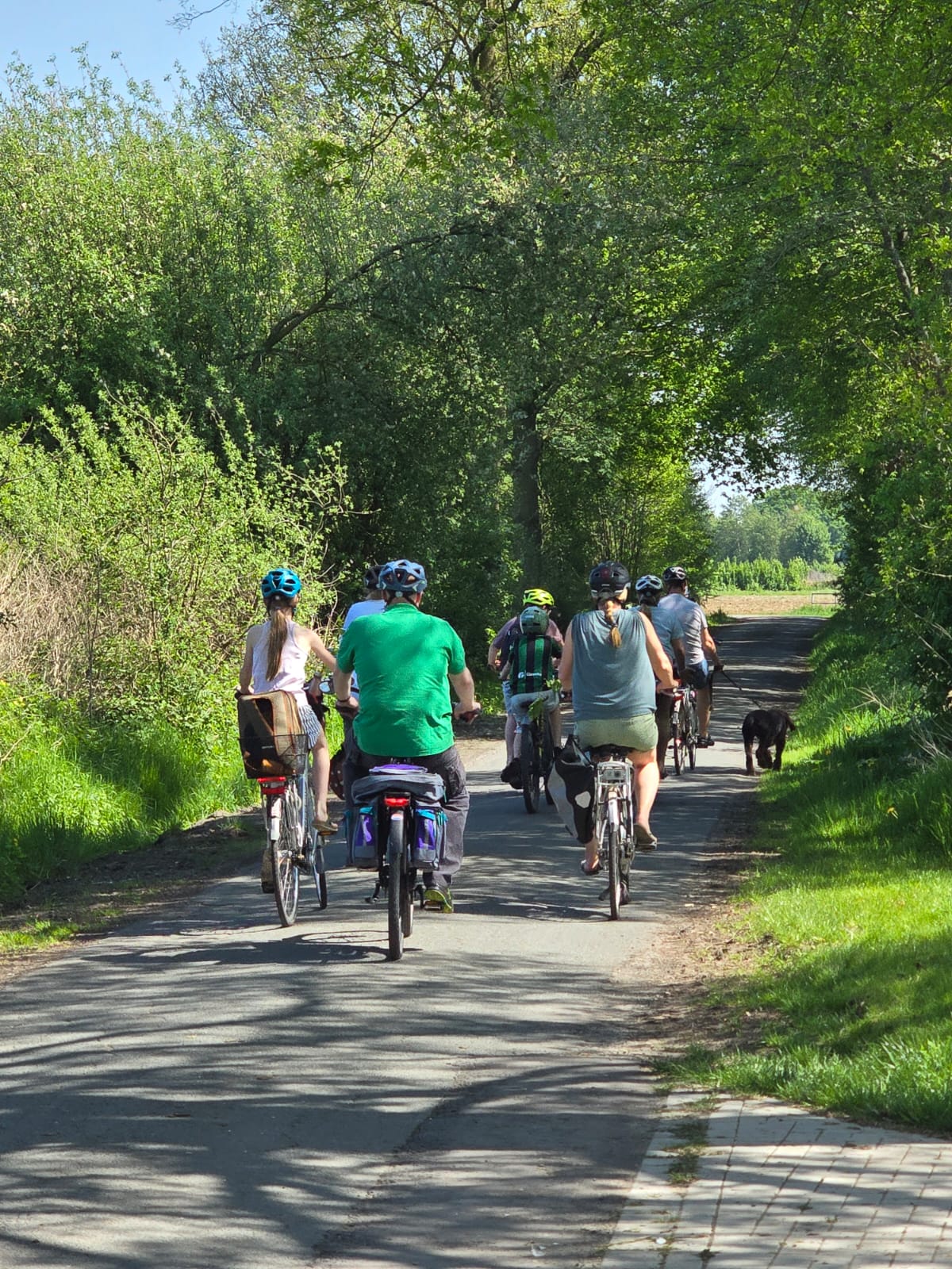 Ferienwohnungen Seehof Reuter