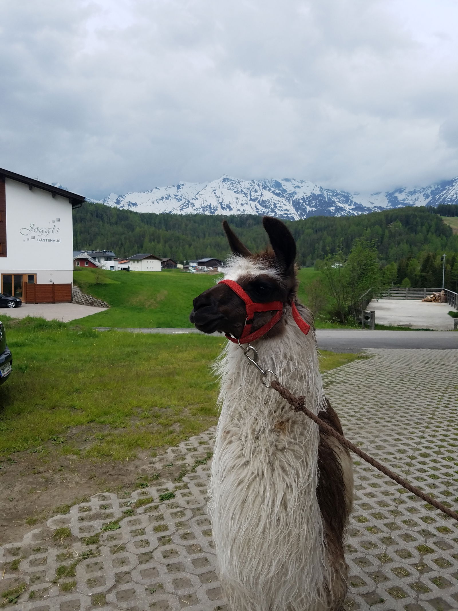 Reiterhof Alpin Appart