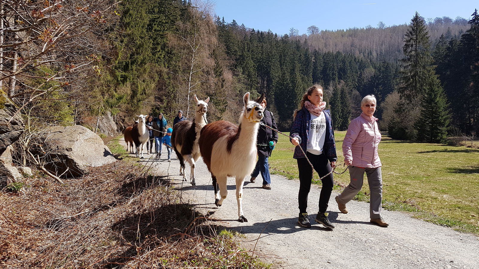 Feriendorf  & Lama-Ranch