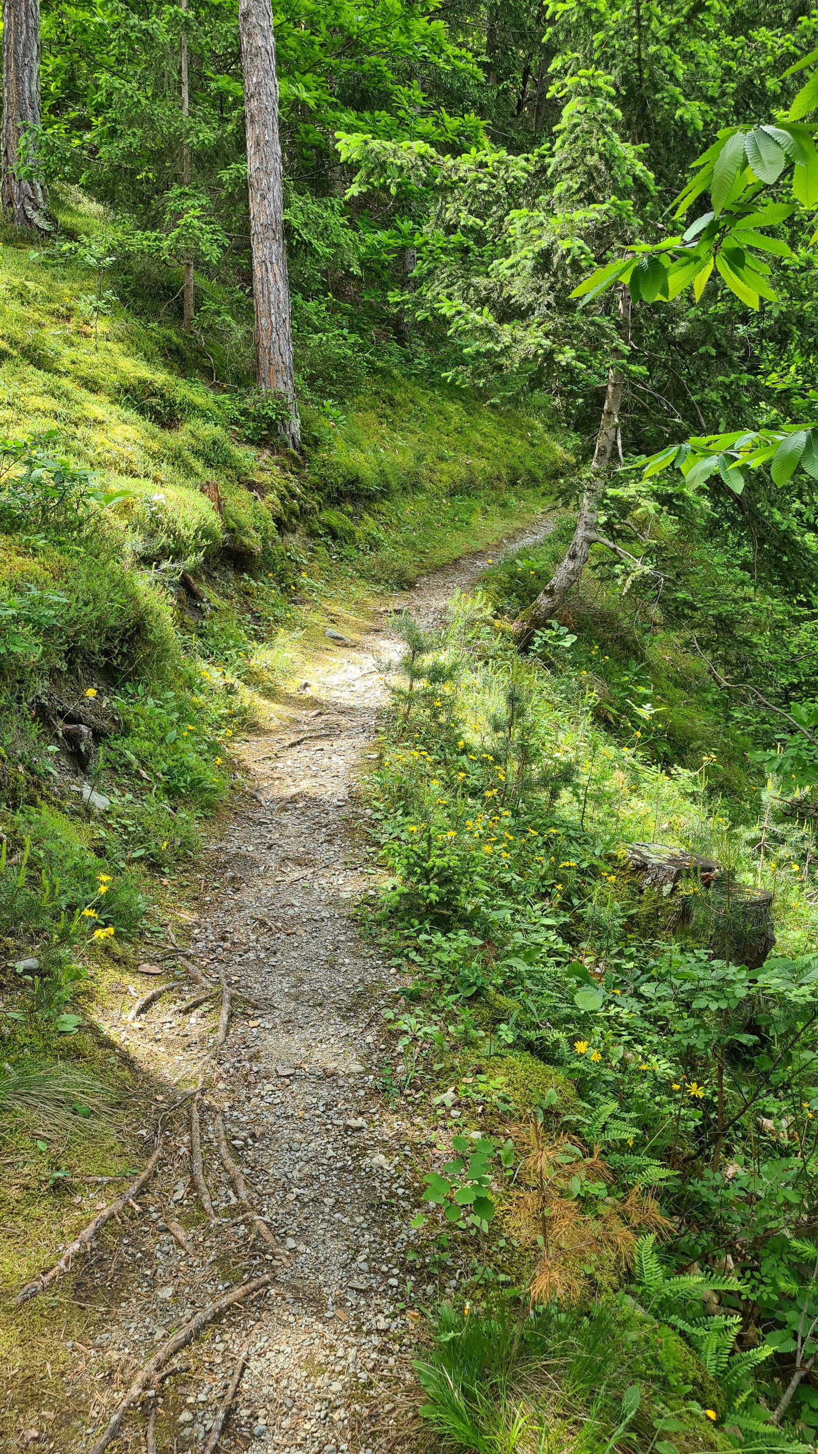 Ferienwohnungen Innerhofer Riffian bei Meran - Adults Only