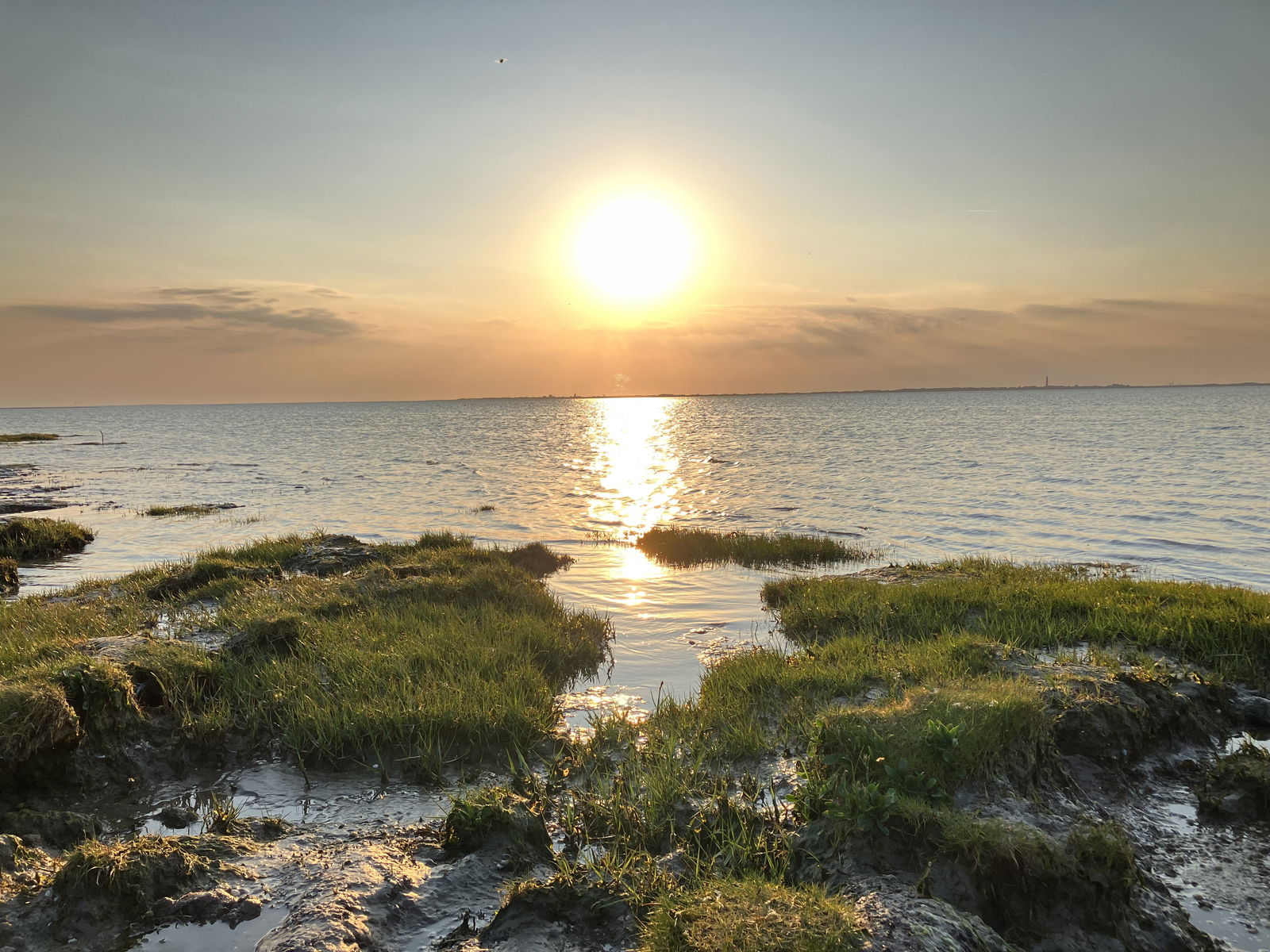 Ostfriesland Pur            Ferienhäuser in Nesse Ostfriesland