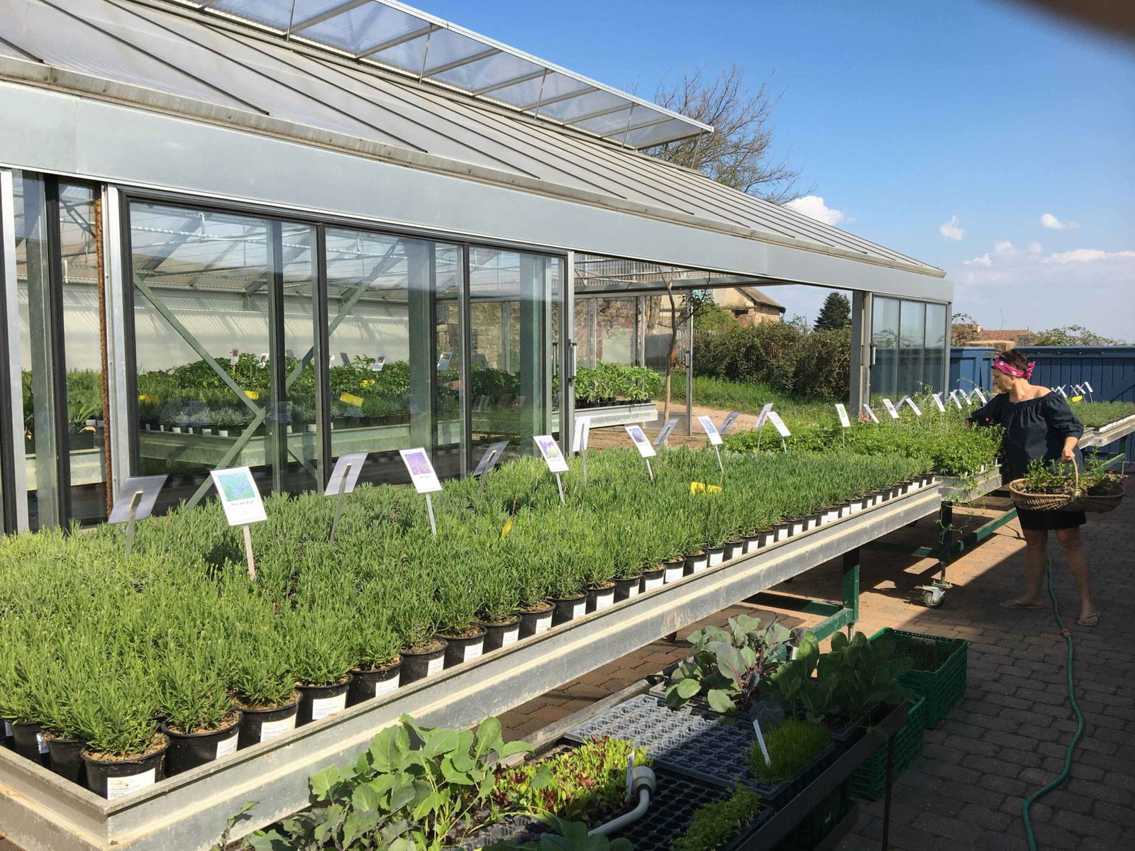 Kräutergarten Klostermühle