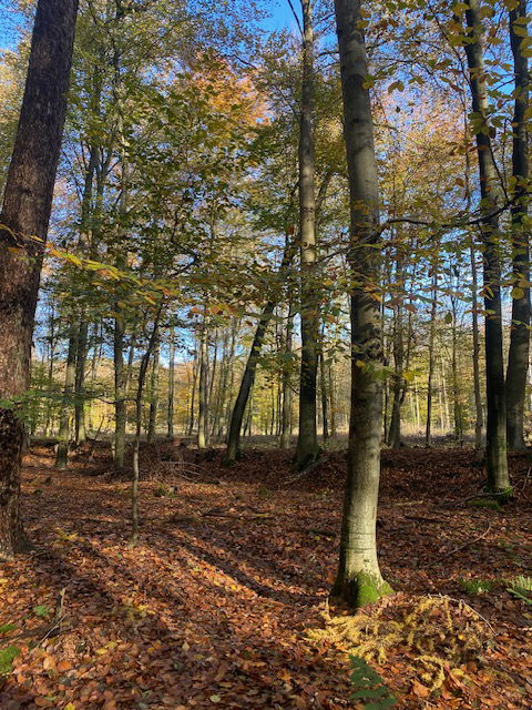 Ferienwohnung am Conradhof