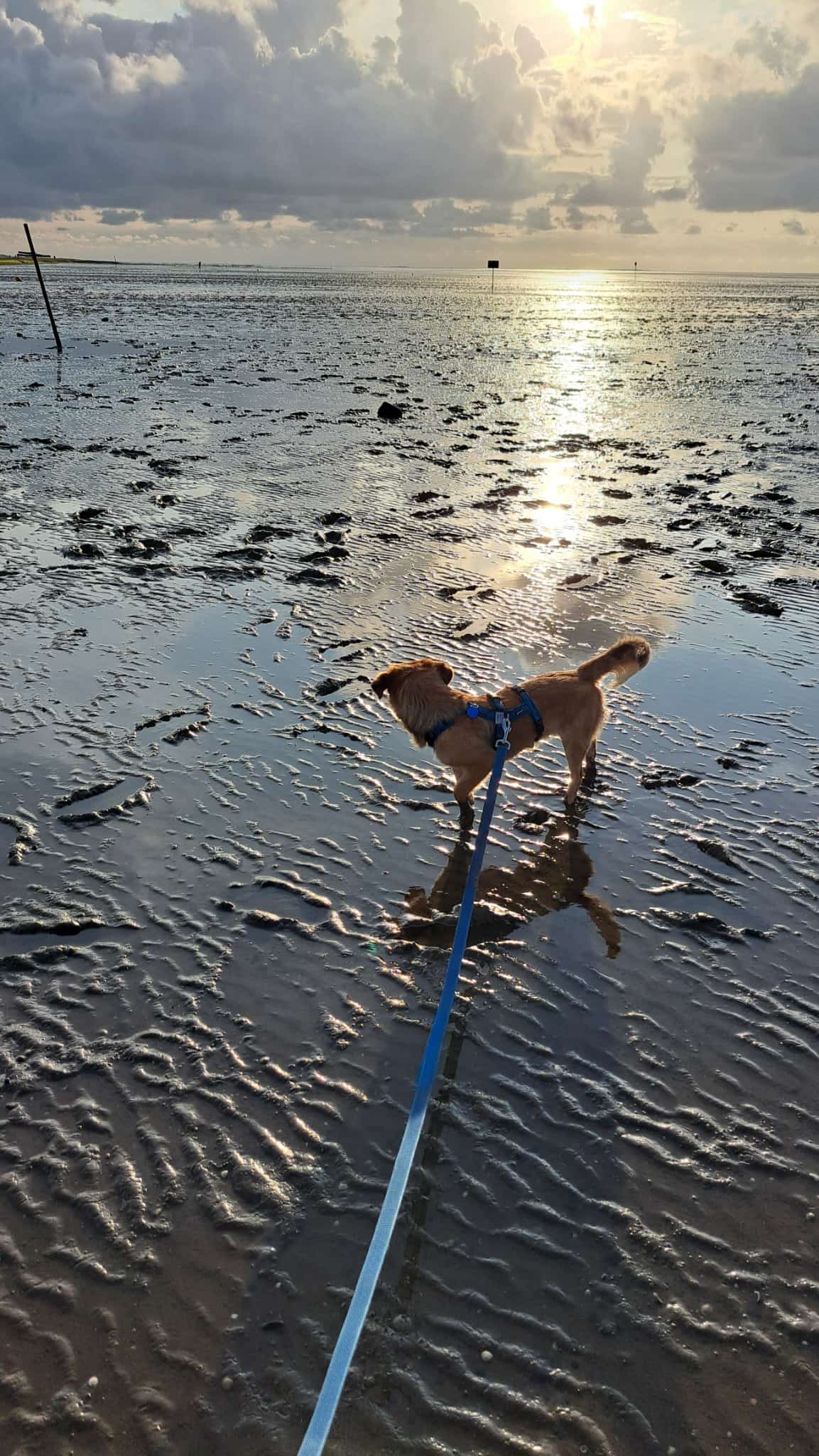 Unser kleiner Bauernhof - Ferienhof Uhlmann