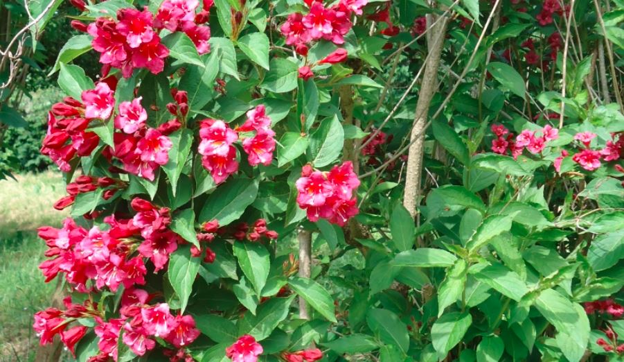 Ferienhaus im Vorspessart