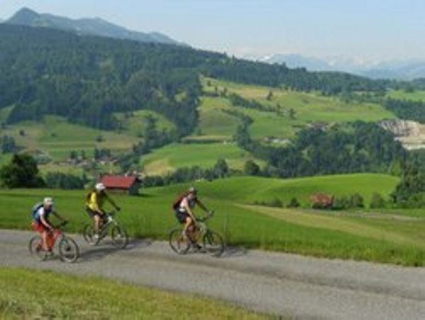 Ferienwohnung Landhaus Waltner