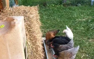 Ferienresidenz Glück auf dem Lande