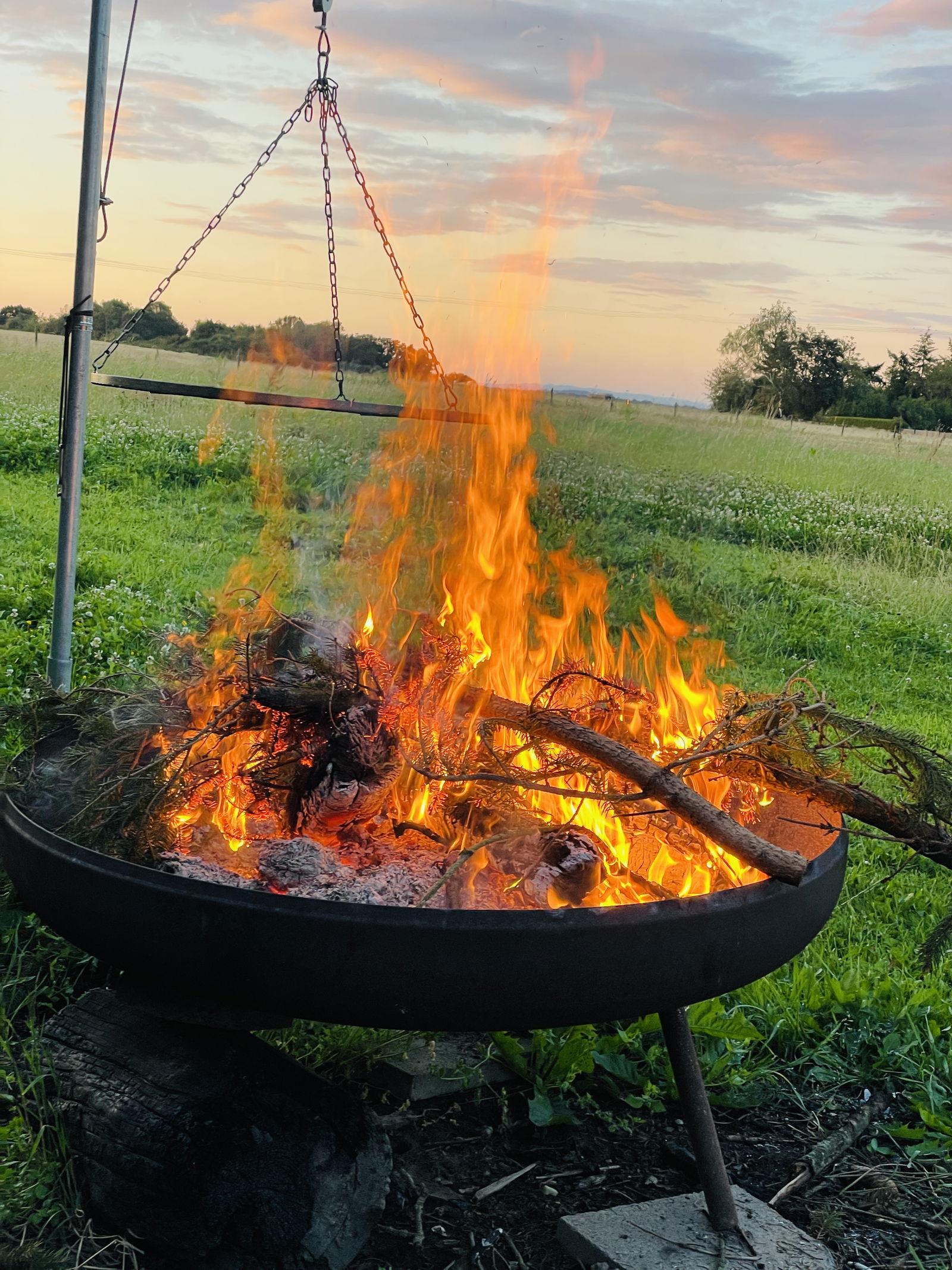 Relaxen auf der grünen Wiese mit Pferden als Nachbarn