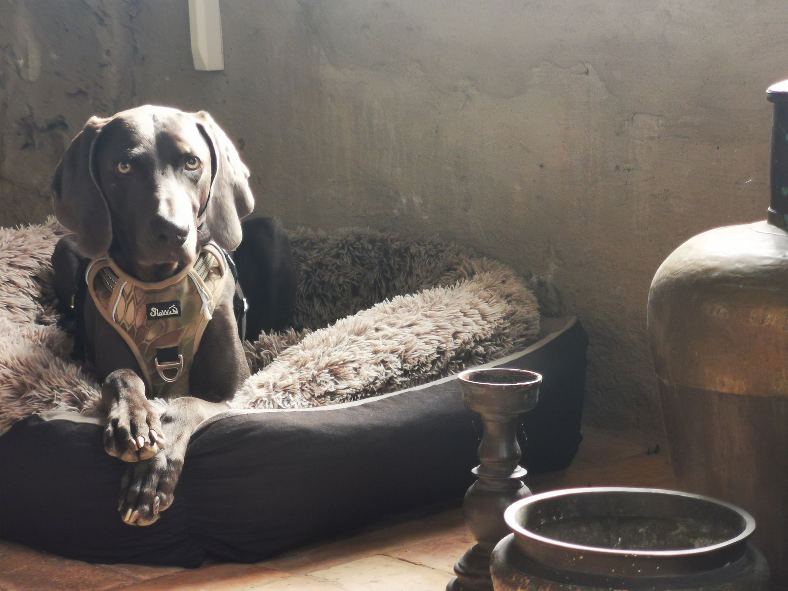 Projektraum "Obst und Sterne"